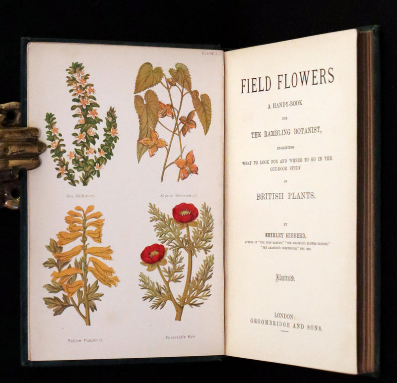 1880 Rare Victorian Book - FIELD FLOWERS, A handy-book for the rambling by the famous botanist James Shirley Hibberd.