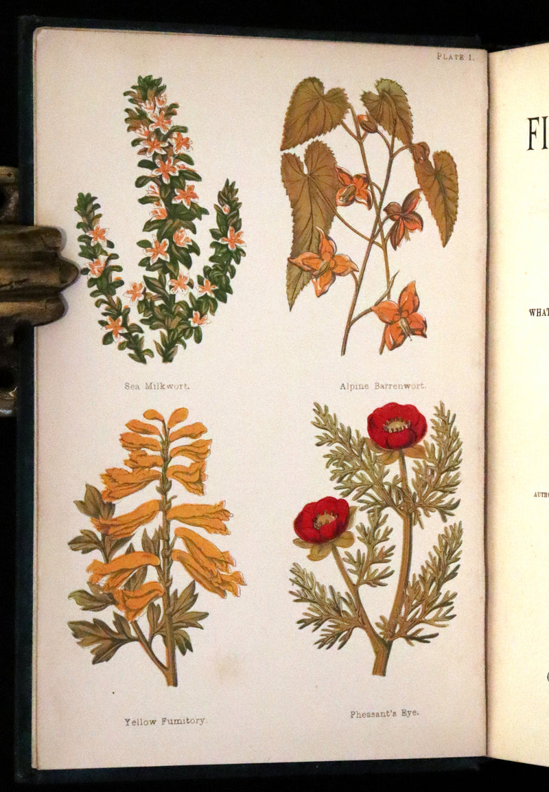 1880 Rare Victorian Book - FIELD FLOWERS, A handy-book for the rambling by the famous botanist James Shirley Hibberd.