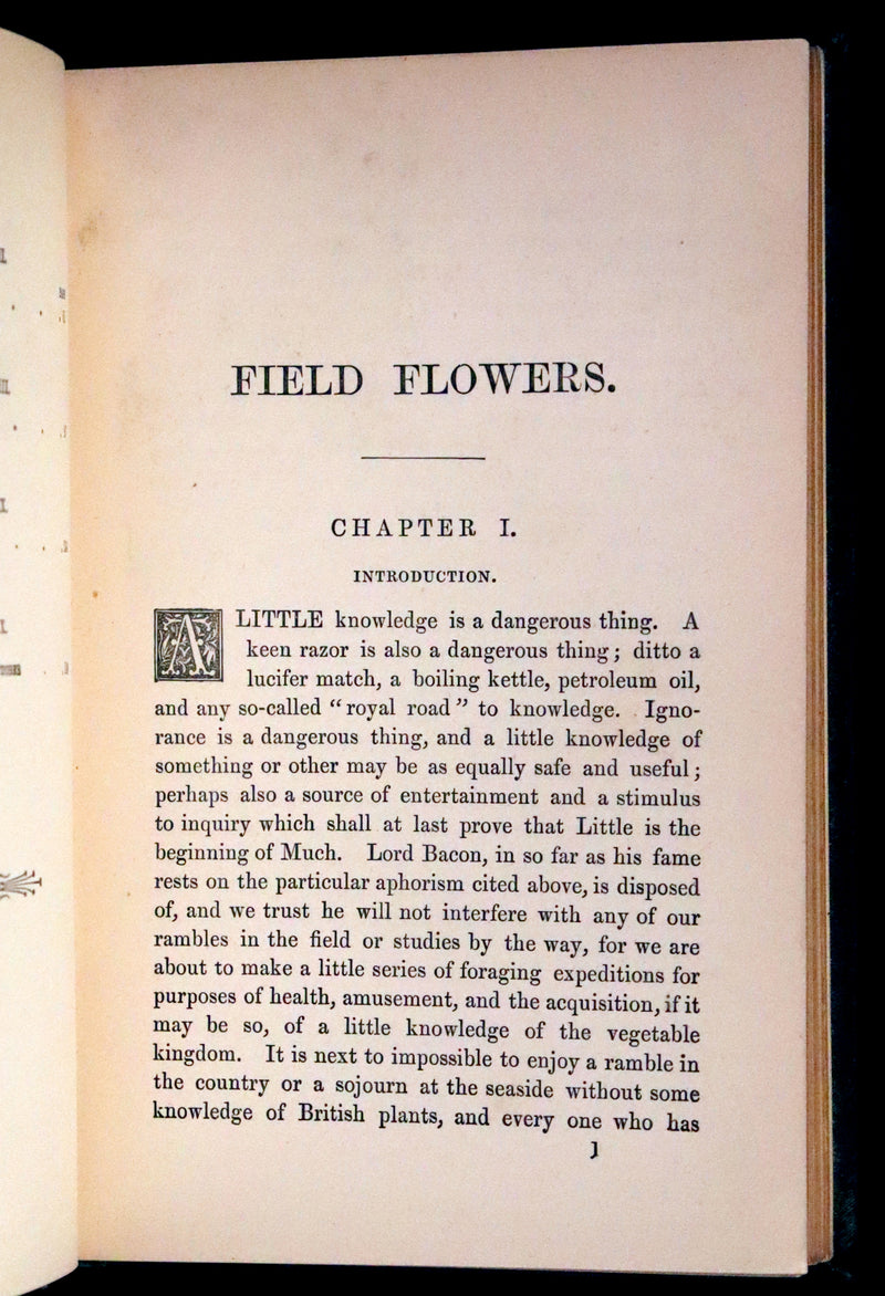 1880 Rare Victorian Book - FIELD FLOWERS, A handy-book for the rambling by the famous botanist James Shirley Hibberd.