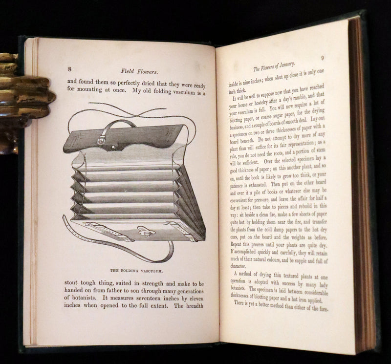 1880 Rare Victorian Book - FIELD FLOWERS, A handy-book for the rambling by the famous botanist James Shirley Hibberd.