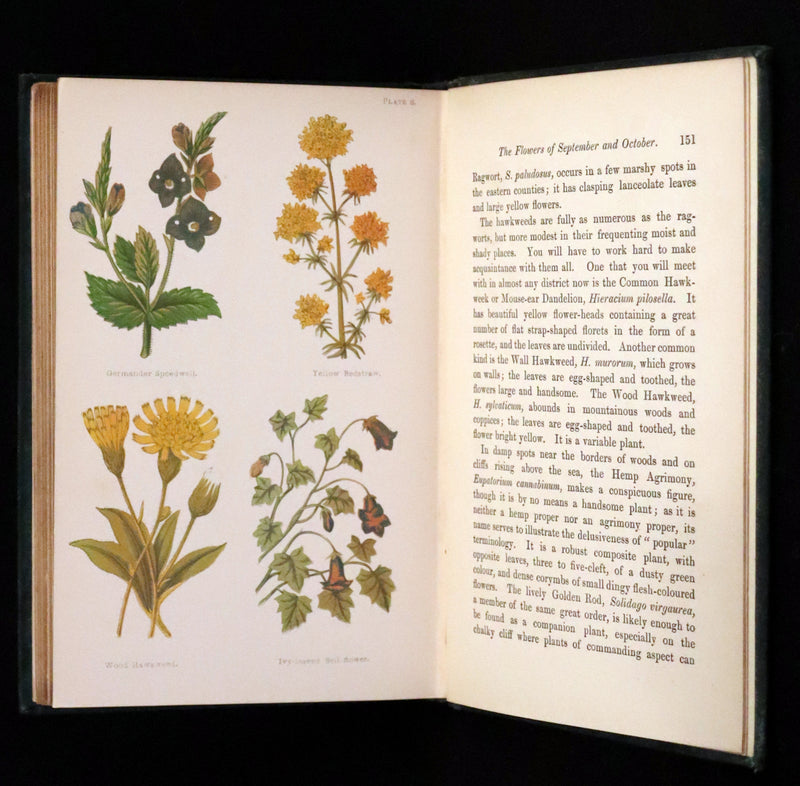 1880 Rare Victorian Book - FIELD FLOWERS, A handy-book for the rambling by the famous botanist James Shirley Hibberd.