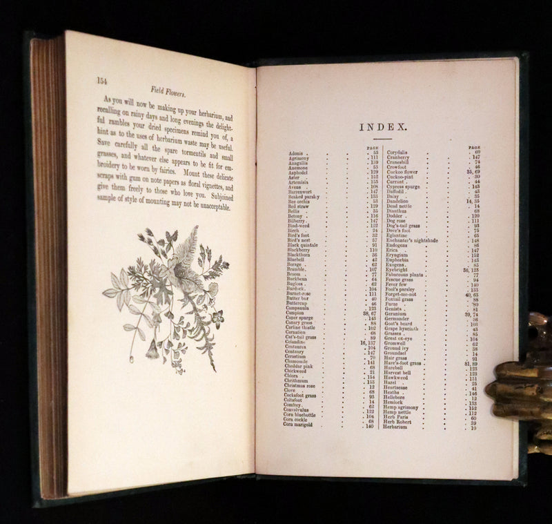 1880 Rare Victorian Book - FIELD FLOWERS, A handy-book for the rambling by the famous botanist James Shirley Hibberd.