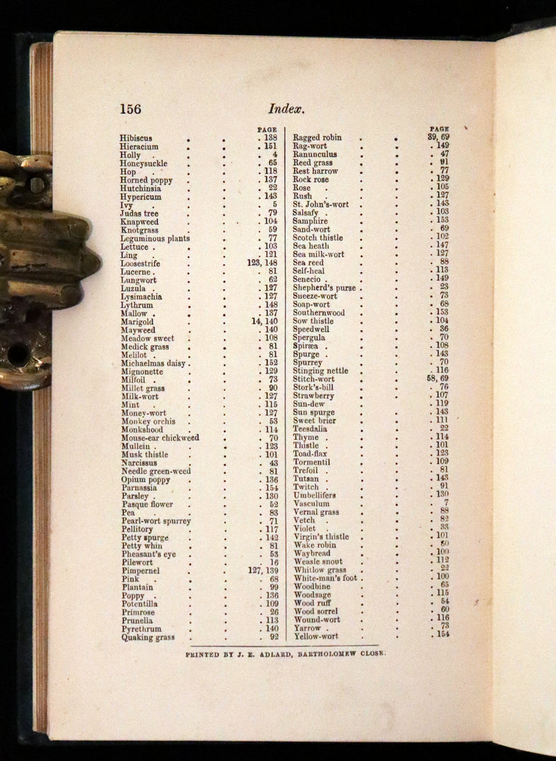 1880 Rare Victorian Book - FIELD FLOWERS, A handy-book for the rambling by the famous botanist James Shirley Hibberd.