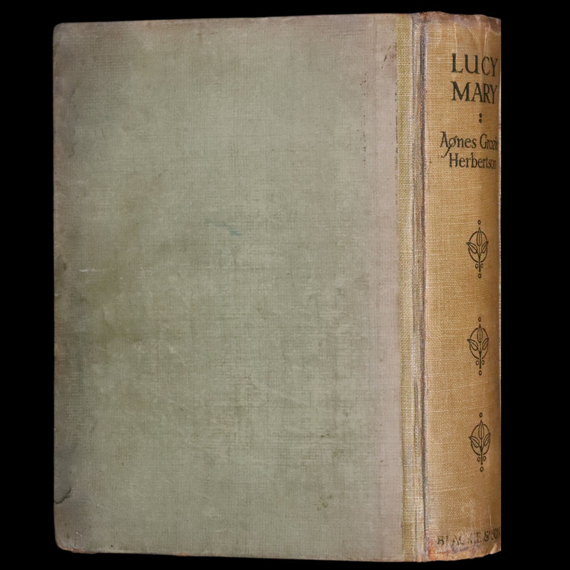 1910 Scarce First Edition - Lucy-Mary or The Cobweb Cloak illustrated by Margaret W. Tarrant.