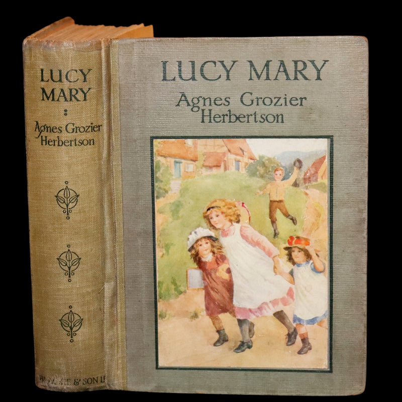 1910 Scarce First Edition - Lucy-Mary or The Cobweb Cloak illustrated by Margaret W. Tarrant.