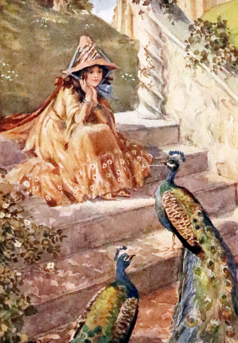 1910 Scarce First Edition - Lucy-Mary or The Cobweb Cloak illustrated by Margaret W. Tarrant.