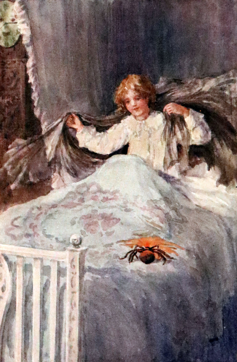 1910 Scarce First Edition - Lucy-Mary or The Cobweb Cloak illustrated by Margaret W. Tarrant.