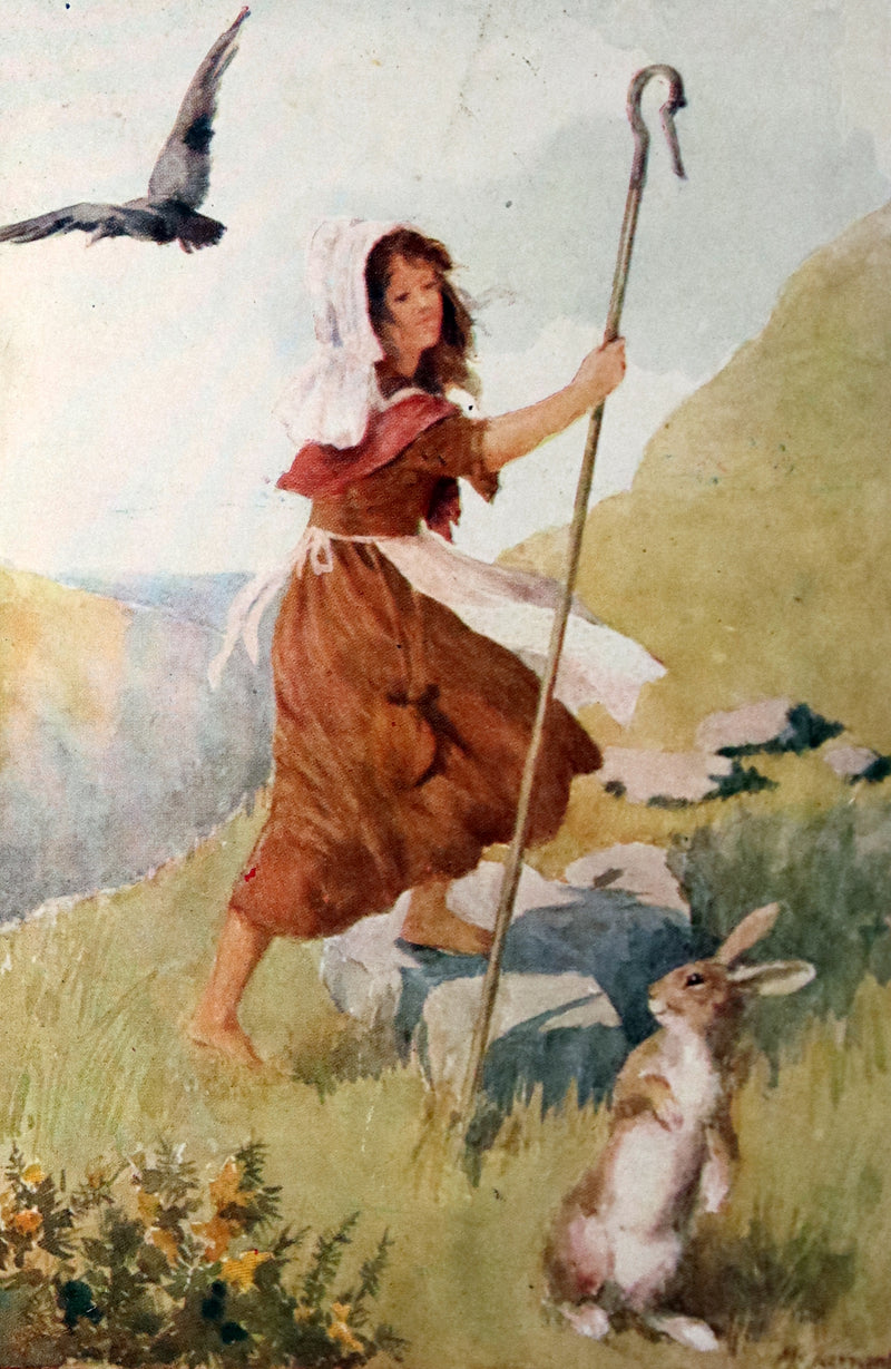 1910 Scarce First Edition - Lucy-Mary or The Cobweb Cloak illustrated by Margaret W. Tarrant.