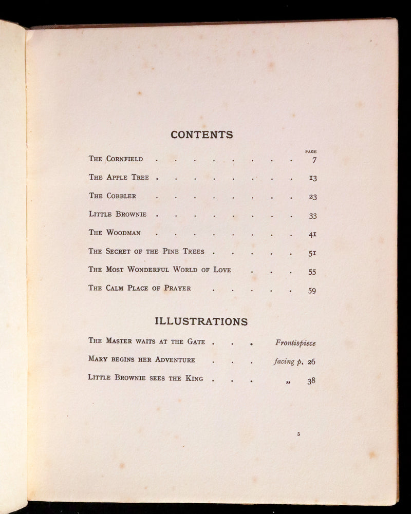 1927 Rare Edition - A Pilgrimage in Fairyland by Daisy Sewell, Fairy Painter Jeannie McConnell.