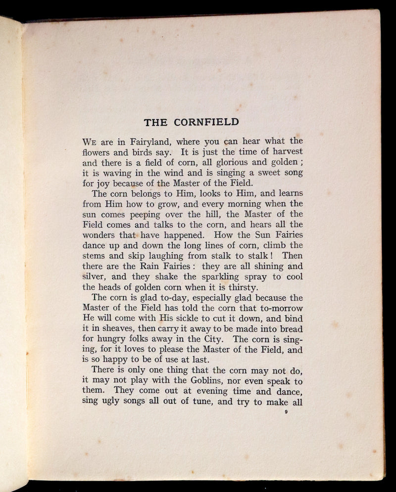 1927 Rare Edition - A Pilgrimage in Fairyland by Daisy Sewell, Fairy Painter Jeannie McConnell.