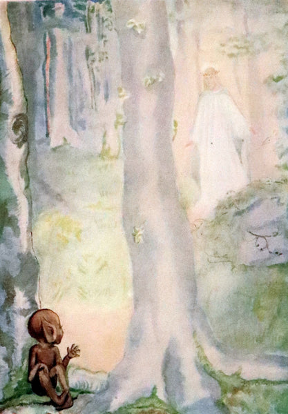 1927 Rare Edition - A Pilgrimage in Fairyland by Daisy Sewell, Fairy Painter Jeannie McConnell.