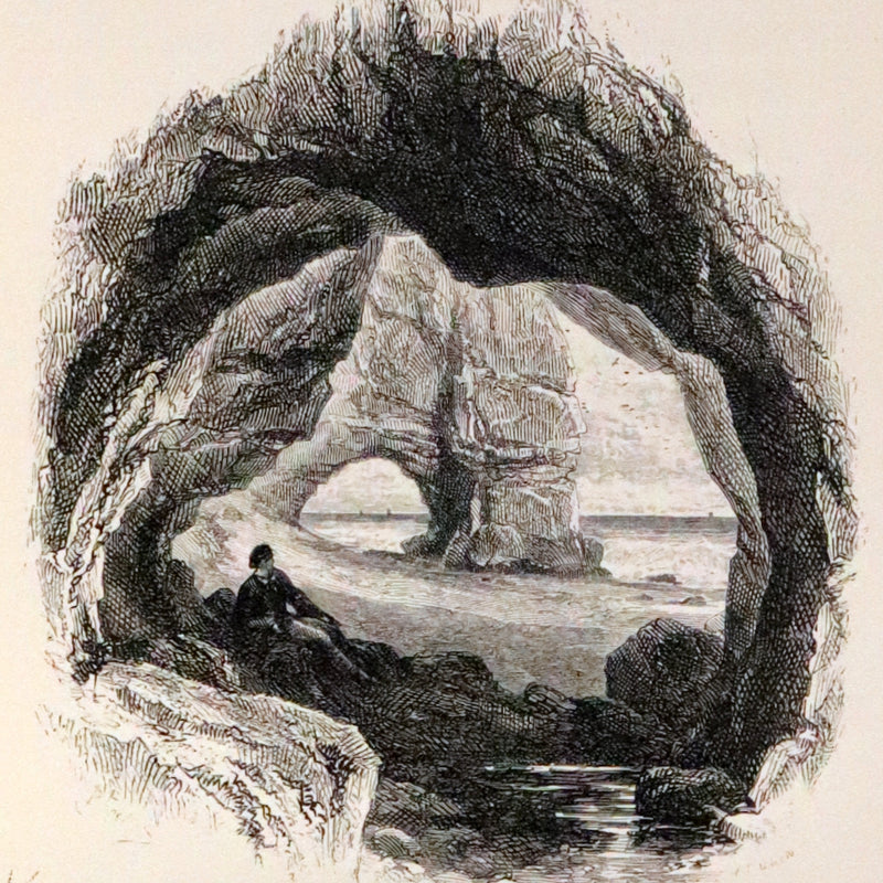 1858 Rare Victorian Book - The Shipwreck by William Falconer, illustrated by Birket Foster.