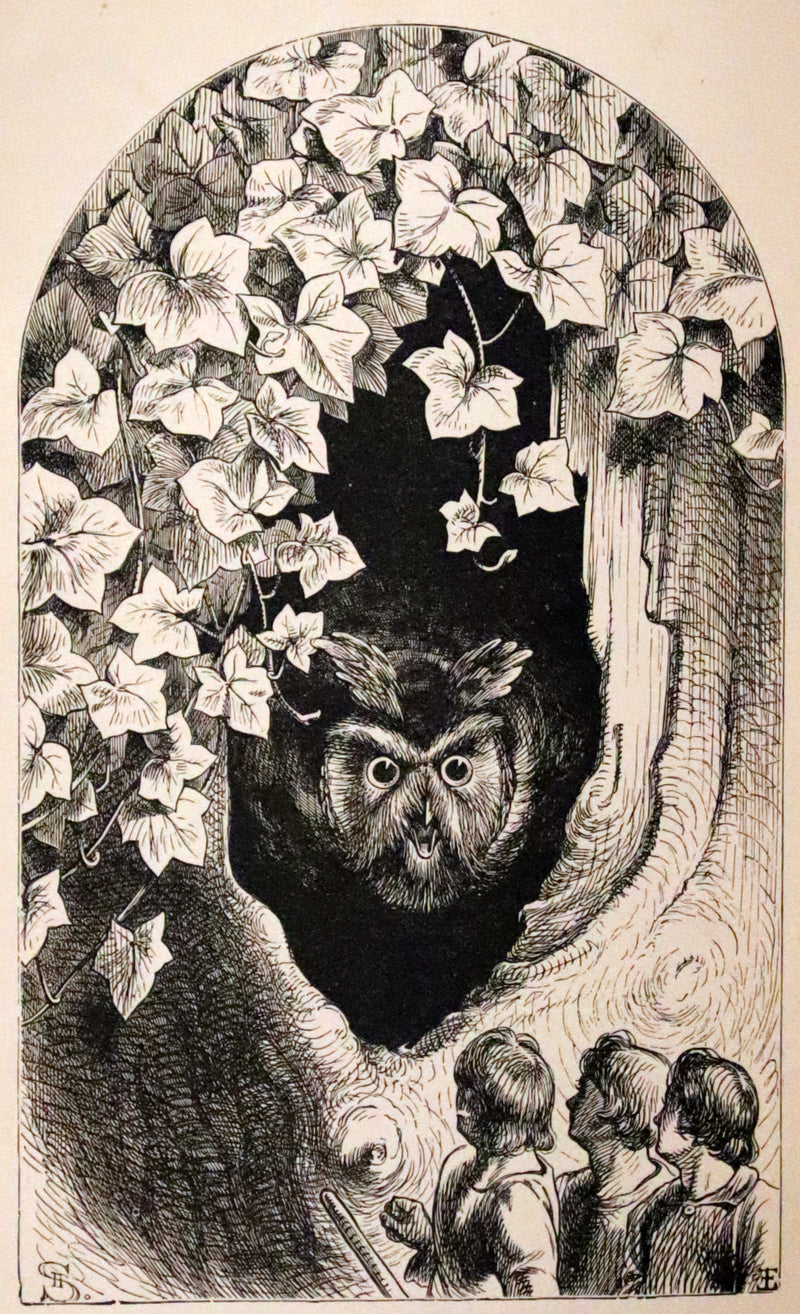 1890 Scarce Victorian Edition - Tuflongbo's Life and Adventures. Holme Lee's Fairy Tale illustrated.