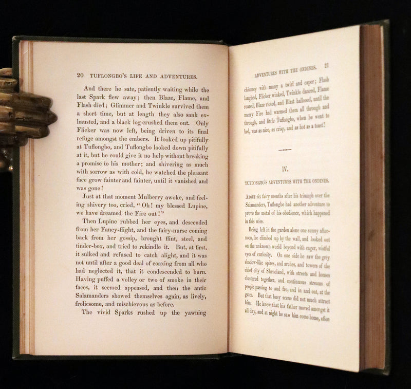 1890 Scarce Victorian Edition - Tuflongbo's Life and Adventures. Holme Lee's Fairy Tale illustrated.