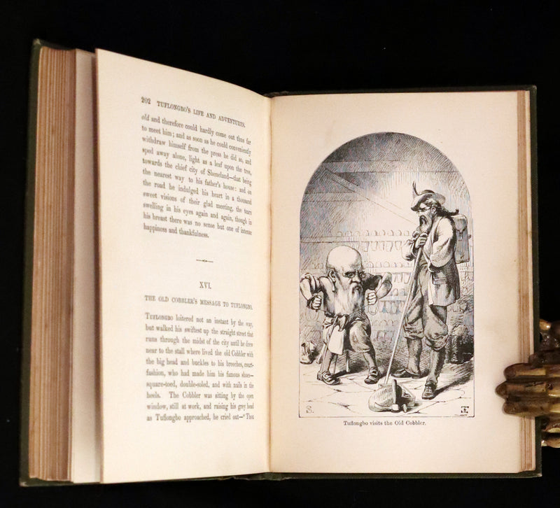 1890 Scarce Victorian Edition - Tuflongbo's Life and Adventures. Holme Lee's Fairy Tale illustrated.