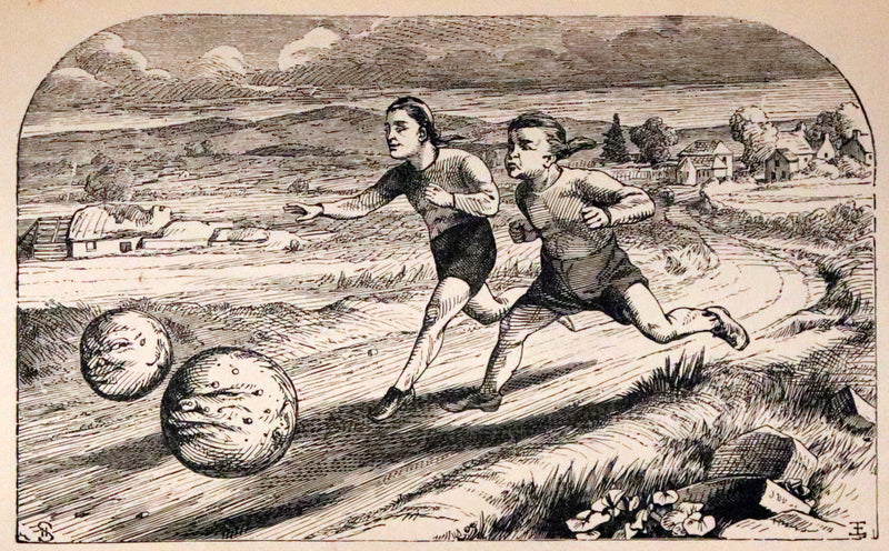 1890 Scarce Victorian Edition - Tuflongbo's Life and Adventures. Holme Lee's Fairy Tale illustrated.