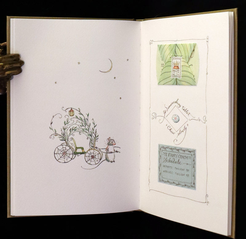 2020 Scarce Signed Limited Edition - Letters from Fairyland by Charles van Sandwyk. #195/250.