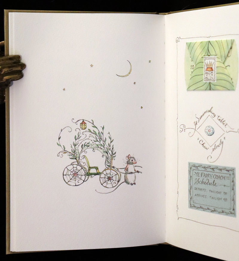 2020 Scarce Signed Limited Edition - Letters from Fairyland by Charles van Sandwyk. #195/250.