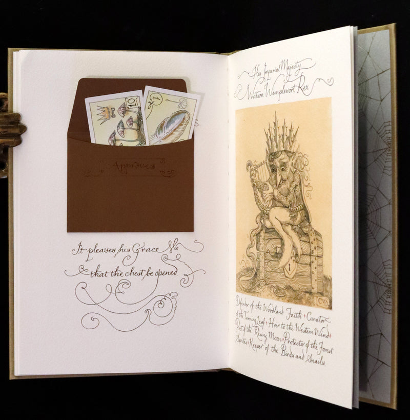 2020 Scarce Signed Limited Edition - Letters from Fairyland by Charles van Sandwyk. #195/250.