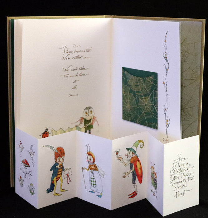 2020 Scarce Signed Limited Edition - Letters from Fairyland by Charles van Sandwyk. #195/250.