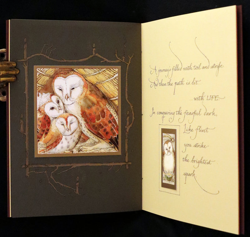 2012 Scarce Signed First Edition - Full Moon Eyes; An Ode to the Wisdom and Forbearance of Owls by Charles Van Sandwyk.