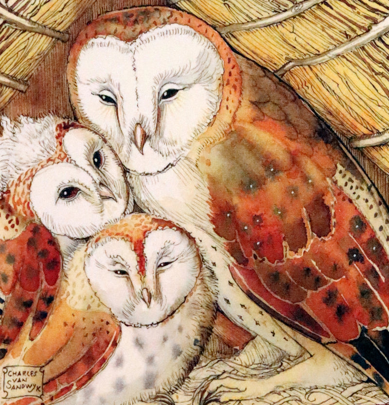 2012 Scarce Signed First Edition - Full Moon Eyes; An Ode to the Wisdom and Forbearance of Owls by Charles Van Sandwyk.