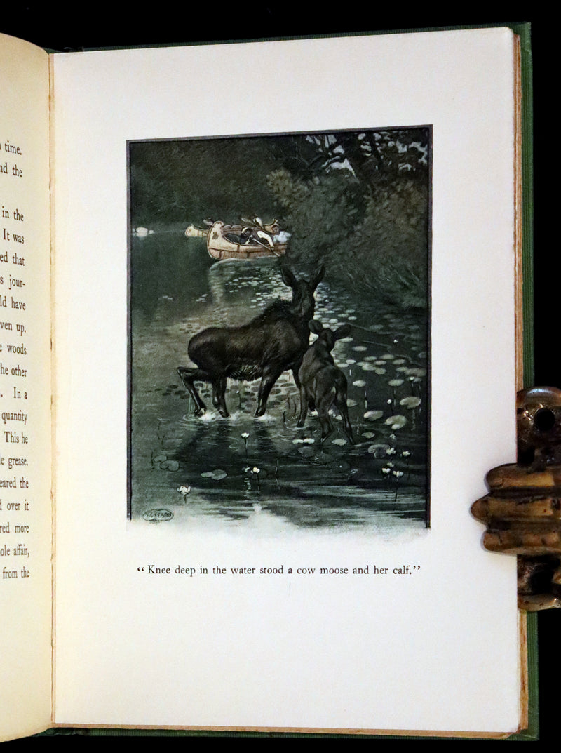 1903 Scarce First Edition - The Magic Forest, A Modern Somnambulist Fairy Story by Stewart Edward White.