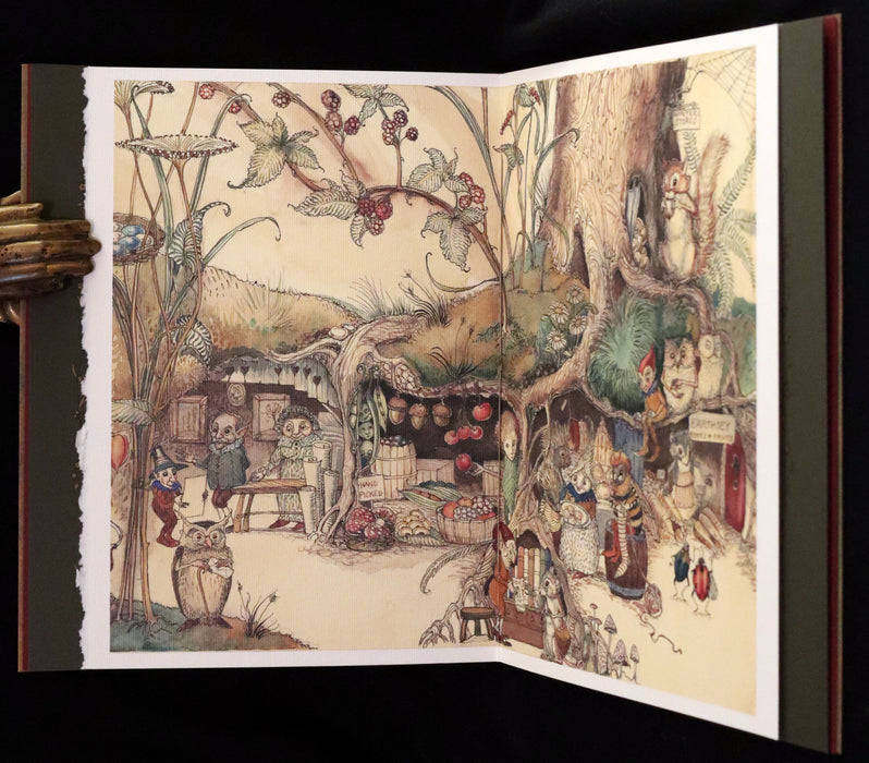 2009 Scarce First Edition - The Fairy Market by Charles van Sandwyk dedicated to Arthur Rackham.