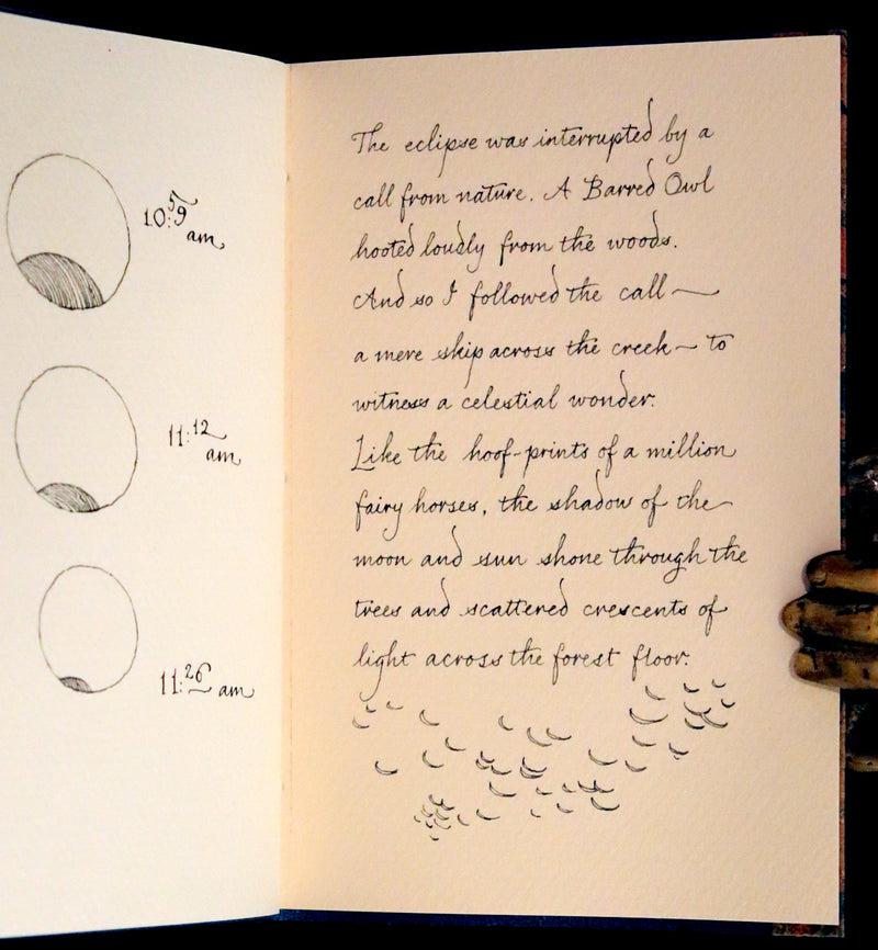 2017 Scarce First Limited Edition - A Northern View of the Great Solar Eclipse of 2017 by Charles van Sandwyk.