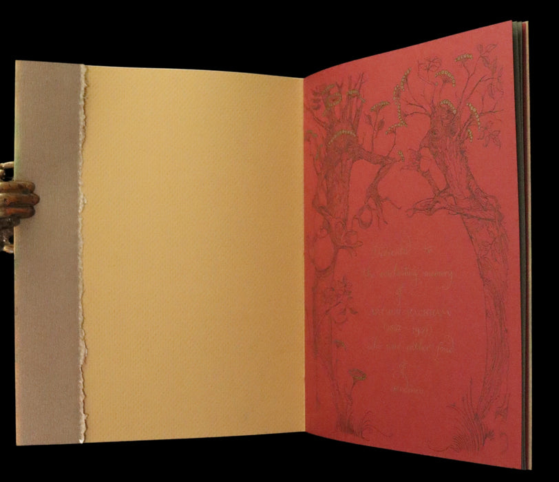 2009 Scarce First Edition - The Fairy Market by Charles van Sandwyk dedicated to Arthur Rackham.