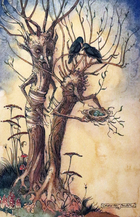 2009 Scarce First Edition - The Fairy Market by Charles van Sandwyk dedicated to Arthur Rackham.