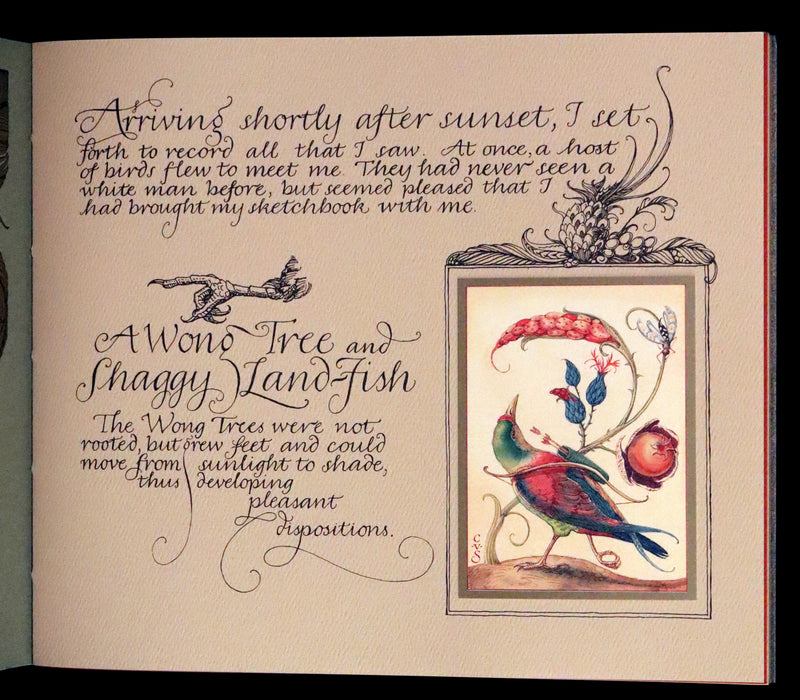 2005 Rare Signed First Edition - Sketches from the Dream Island of Birds by Charles van Sandwyk.