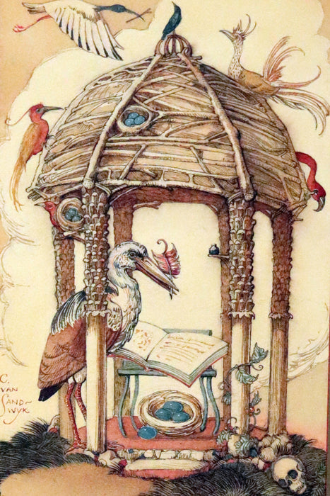 2005 Rare Signed First Edition - Sketches from the Dream Island of Birds by Charles van Sandwyk.