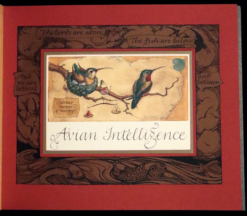 2005 Rare Signed First Edition - Sketches from the Dream Island of Birds by Charles van Sandwyk.