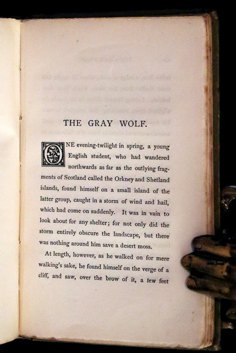 1884 Scarce Edition - The Cruel Painter and Other Fairy Tales by George MacDonald.