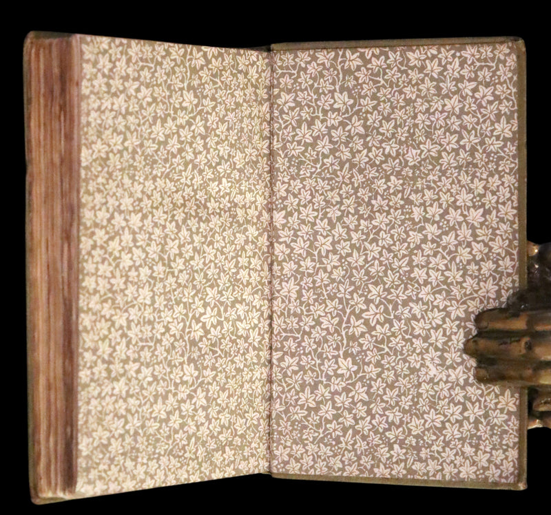 1884 Scarce Edition - The Cruel Painter and Other Fairy Tales by George MacDonald.