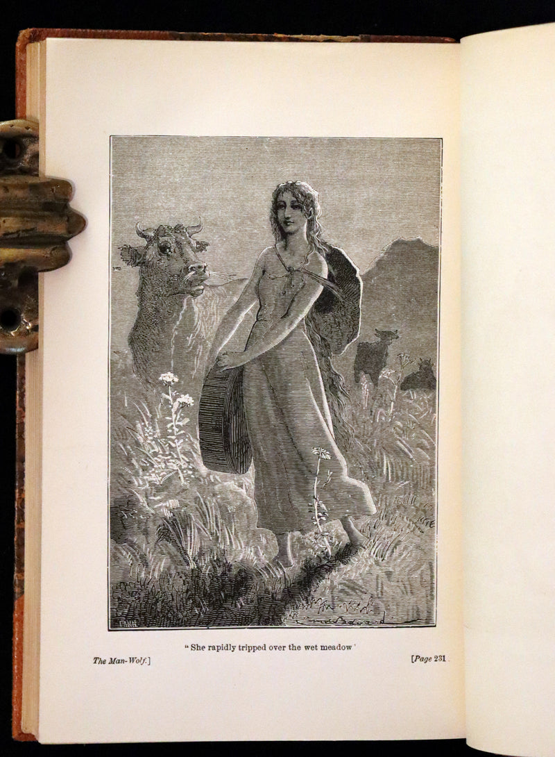 1877 Rare Book - The Man-Wolf, a Werewolf story by Emile Erckmann and Alexandre Chatrian.