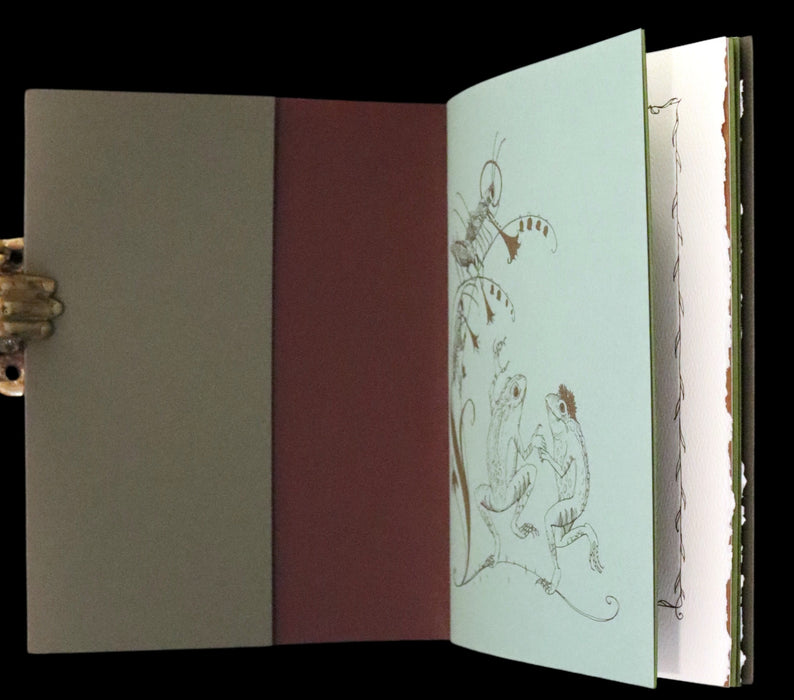 2008 Rare First Edition - Mr. Rabbit's Symphony of Nature by Charles van Sandwyk. With “frolicking frogs” bookmark.