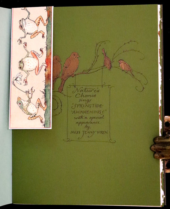 2008 Rare First Edition - Mr. Rabbit's Symphony of Nature by Charles van Sandwyk. With “frolicking frogs” bookmark.