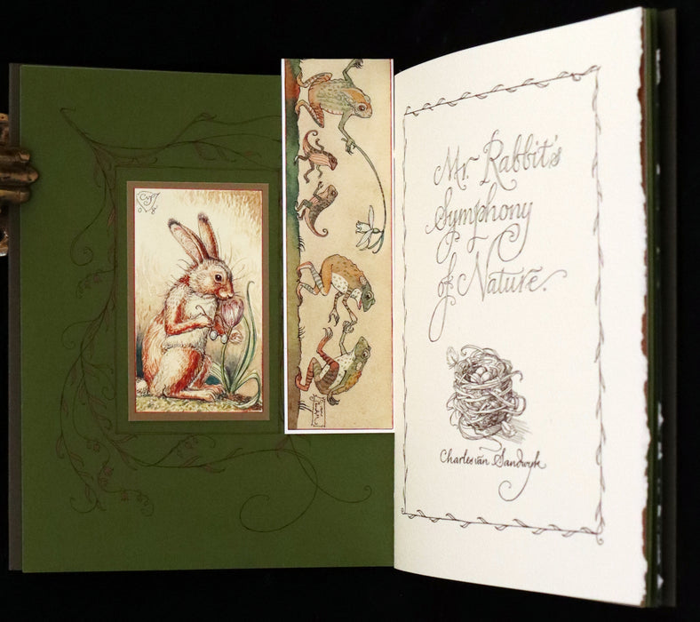 2008 Rare First Edition - Mr. Rabbit's Symphony of Nature by Charles van Sandwyk. With “frolicking frogs” bookmark.