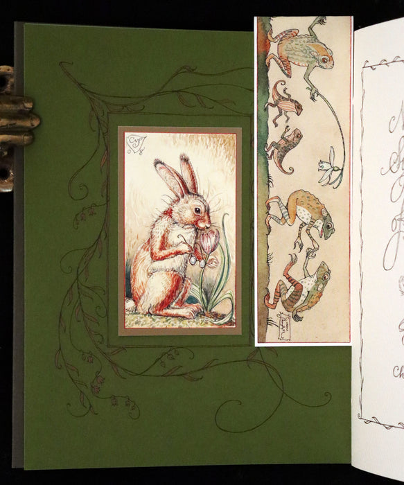 2008 Rare First Edition - Mr. Rabbit's Symphony of Nature by Charles van Sandwyk. With “frolicking frogs” bookmark.