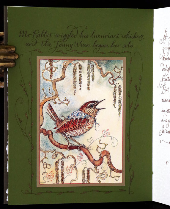 2008 Rare First Edition - Mr. Rabbit's Symphony of Nature by Charles van Sandwyk. With “frolicking frogs” bookmark.