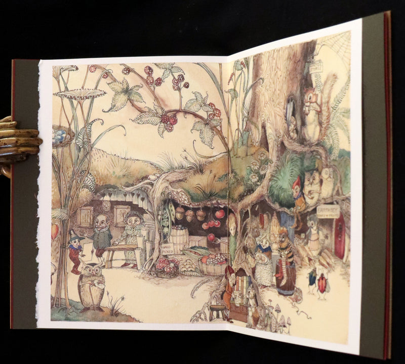 2009 Scarce First Edition - The Fairy Market by Charles van Sandwyk dedicated to Arthur Rackham.