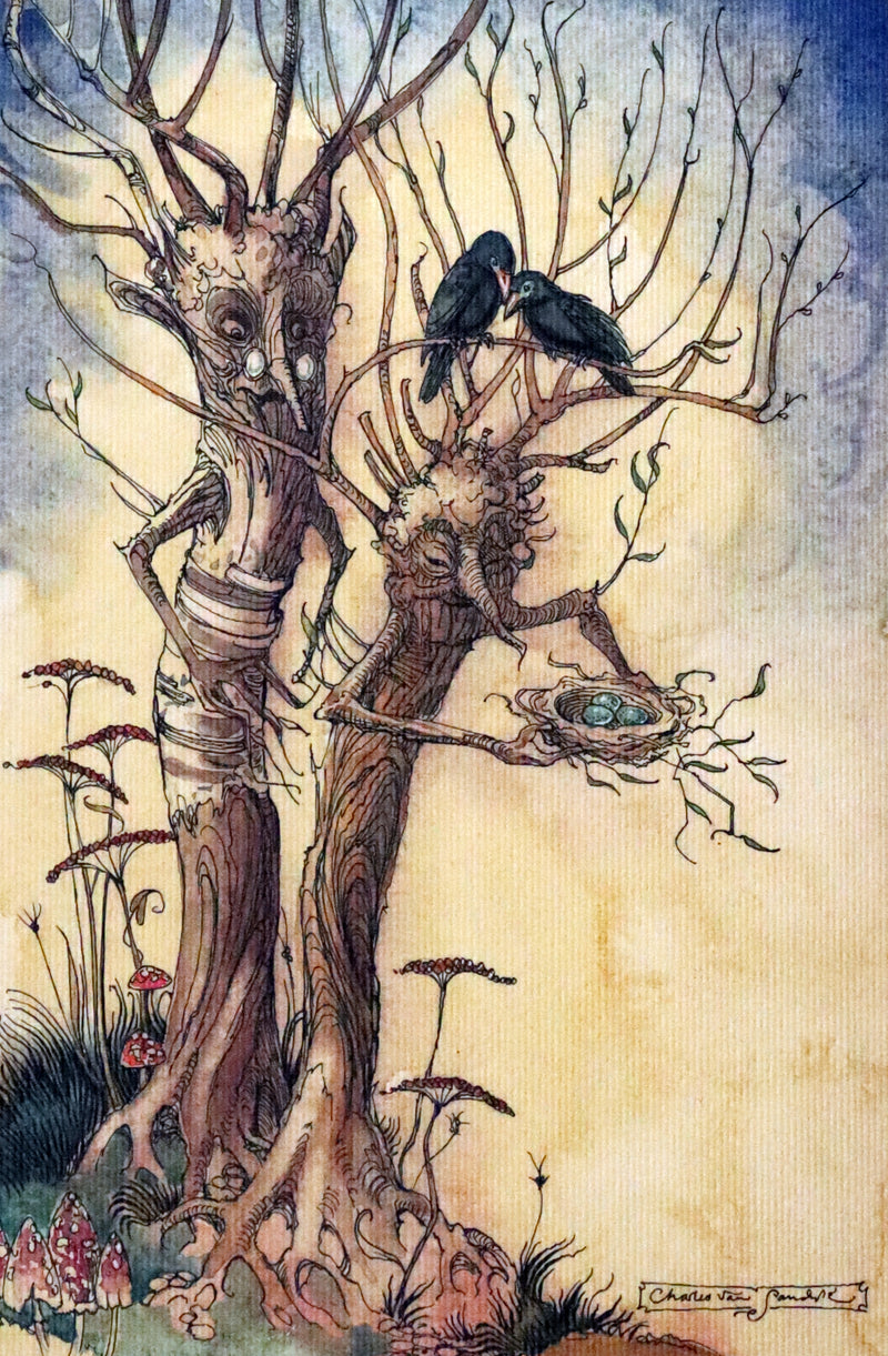 2009 Scarce First Edition - The Fairy Market by Charles van Sandwyk dedicated to Arthur Rackham.