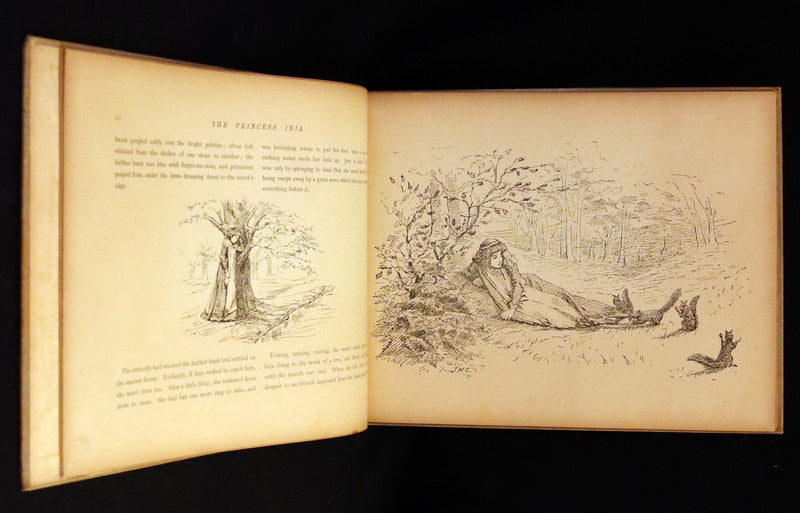 1889 Scarce First Edition - The Princess Inja: A Fairy Tale. Illustrated by J.W. Cawston.