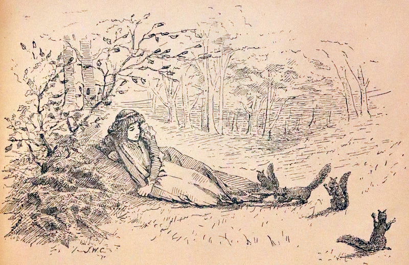 1889 Scarce First Edition - The Princess Inja: A Fairy Tale. Illustrated by J.W. Cawston.