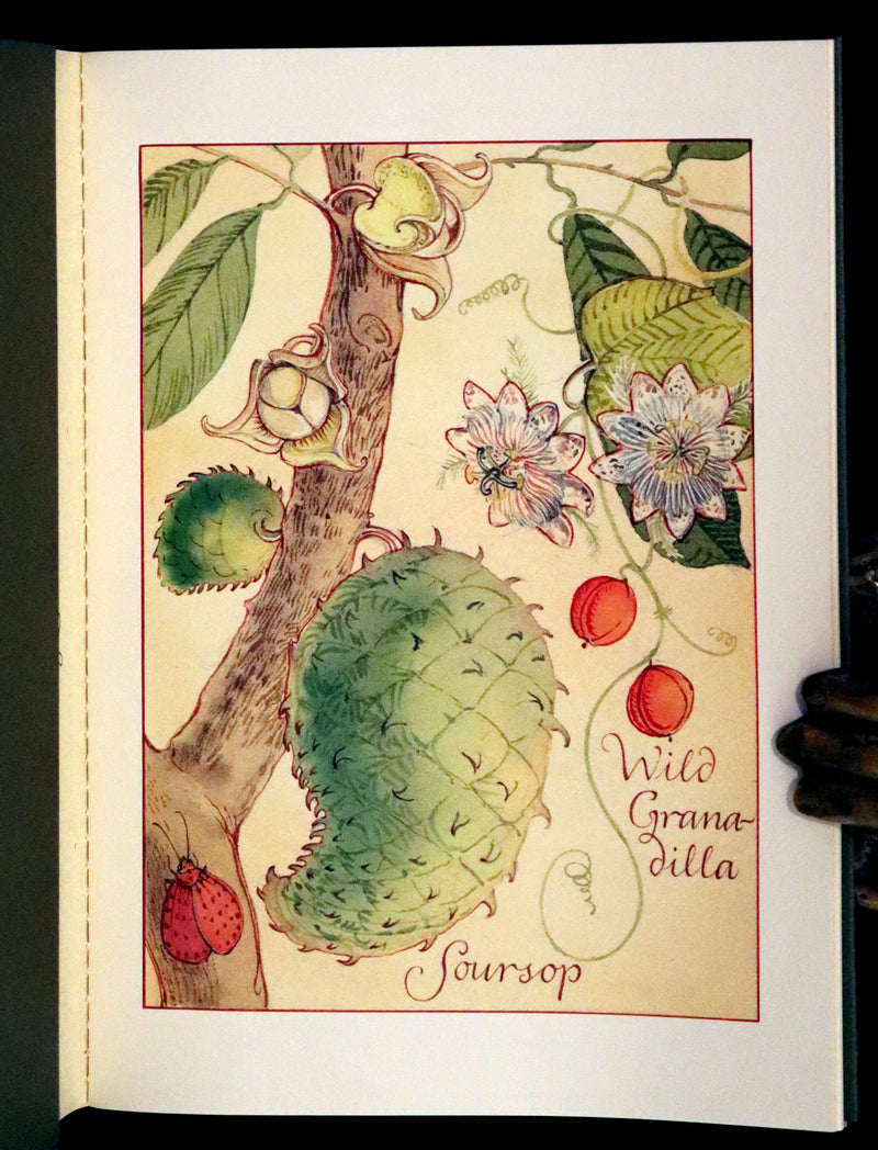 1997 Rare Edition - Sketches from a Tropic Isle drawn in the Fiji Islands by Charles Van Sandwyk.