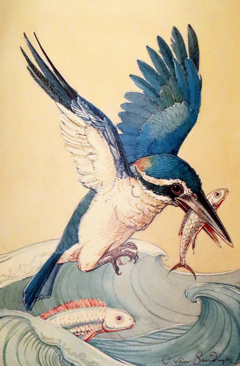 1997 Rare Edition - Sketches from a Tropic Isle drawn in the Fiji Islands by Charles Van Sandwyk.