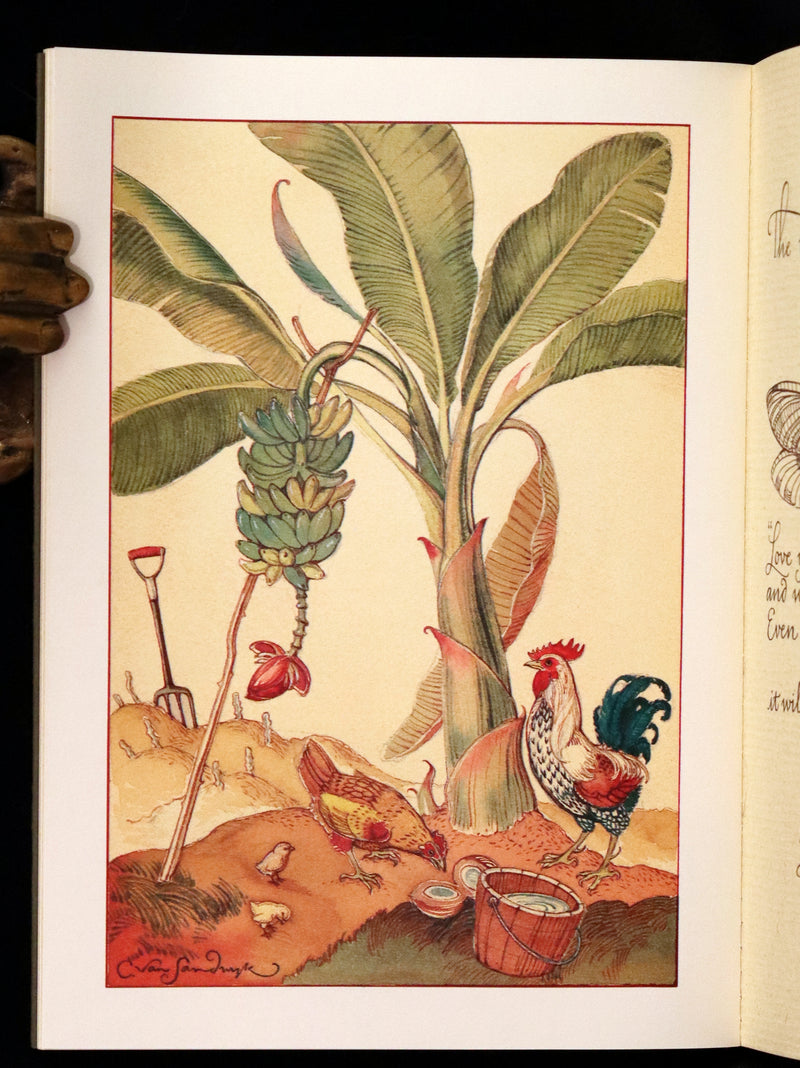 1997 Rare Edition - Sketches from a Tropic Isle drawn in the Fiji Islands by Charles Van Sandwyk.