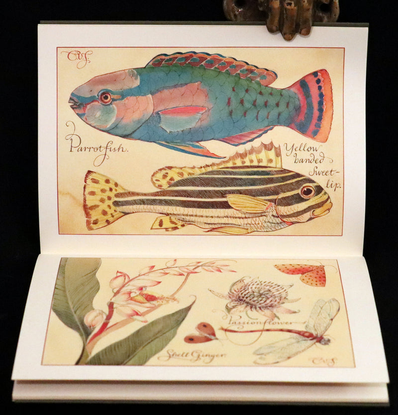 1997 Rare Edition - Sketches from a Tropic Isle drawn in the Fiji Islands by Charles Van Sandwyk.